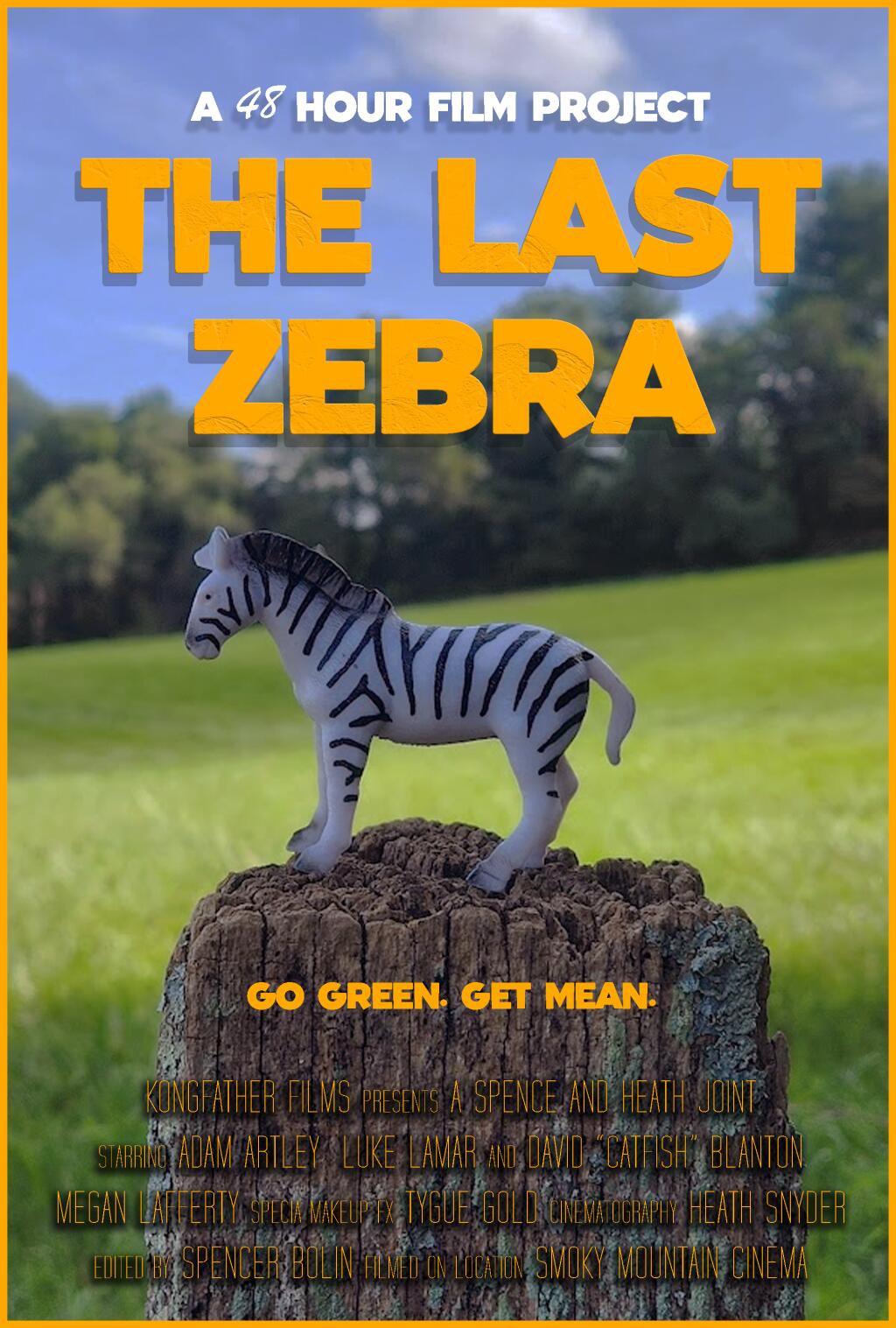 Filmposter for The Last Zebra